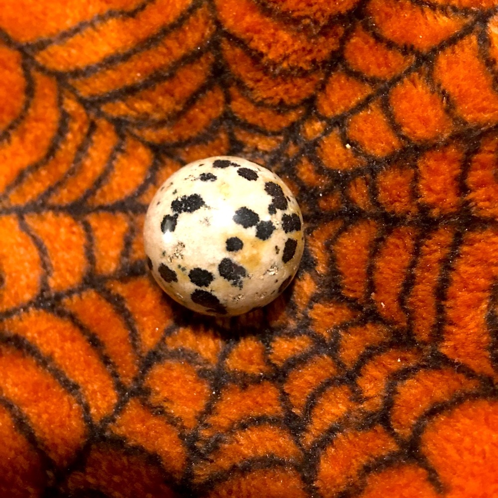 NEW 🔮 Dalmatian Jasper, black polka dot colors, Marble size.